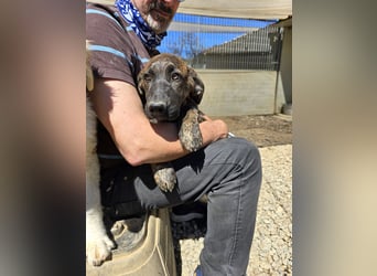 Esedra: bereit für ihre eigene Familie