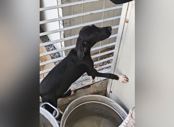 Marino: kleiner Schatz sucht Kuschelplatz