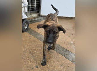 Esedra: bereit für ihre eigene Familie