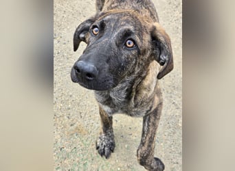 Esedra: bereit für ihre eigene Familie