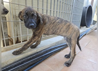 Esedra: bereit für eine eigene Familie