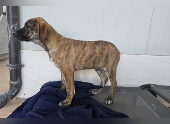 Ethan: bereit für seine eigene Familie