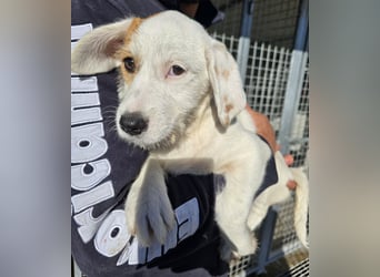 Giovanna: kleine Zuckerschnute