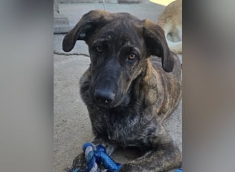 Esedra: bereit für ihre eigene Familie