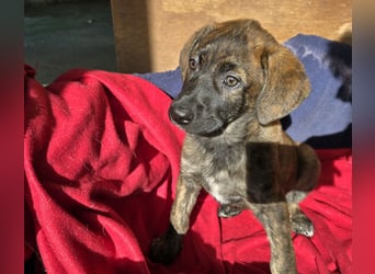 Esedra: bereit für eine eigene Familie