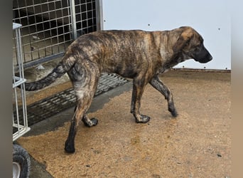 Esedra: bereit für ihre eigene Familie