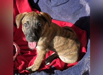 Ethan: bereit für seine eigene Familie