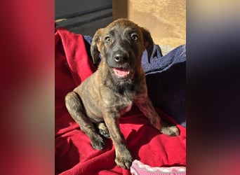 Esedra: bereit für eine eigene Familie