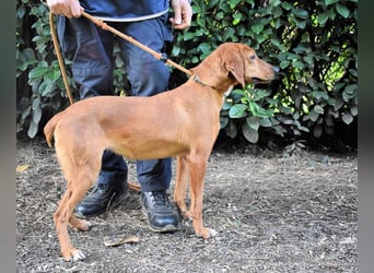 Clotilda - Gemeinsam werden wir sie retten