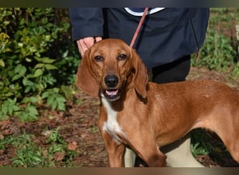 Clotilda - Gemeinsam werden wir sie retten