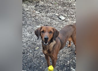 Gavin - wenn Lebensfreude stärker ist als die Vergangenheit