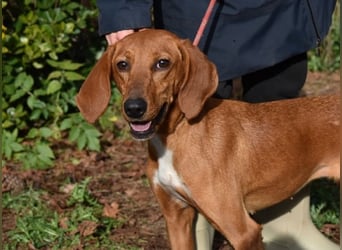 Clotilda - Gemeinsam werden wir sie retten