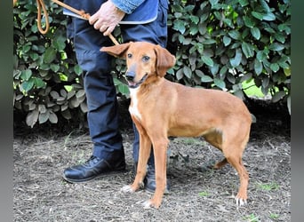 Clotilda - Gemeinsam werden wir sie retten