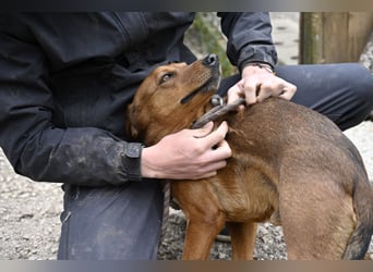 Gavin - wenn Lebensfreude stärker ist als die Vergangenheit
