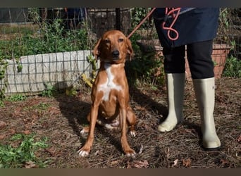 Clotilda - Gemeinsam werden wir sie retten