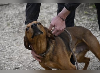 Gavin - wenn Lebensfreude stärker ist als die Vergangenheit