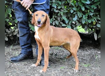 Clotilda - Gemeinsam werden wir sie retten