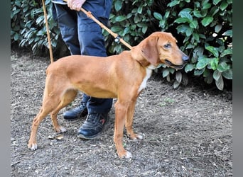 Clotilda - Gemeinsam werden wir sie retten