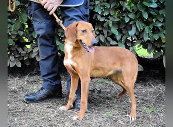 Clotilda - Gemeinsam werden wir sie retten