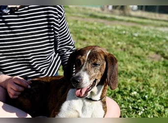 Mia - aussortiert - und niemand hat ihr je erklärt, warum