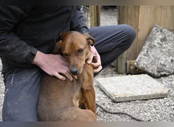 Gavin - wenn Lebensfreude stärker ist als die Vergangenheit