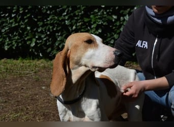 Deva - Die Sache mit dem Regen, der Traufe und einem Leben