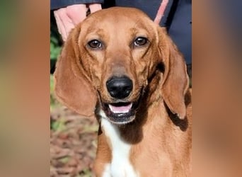 Clotilda - Gemeinsam werden wir sie retten