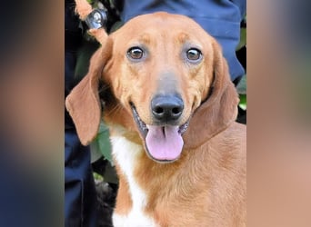 Clotilda - Gemeinsam werden wir sie retten