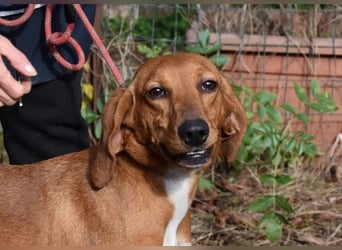 Clotilda - Gemeinsam werden wir sie retten