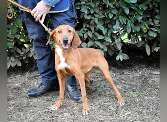 Clotilda - Gemeinsam werden wir sie retten