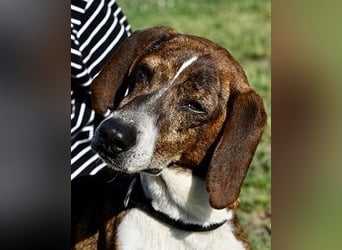 Mia - aussortiert - und niemand hat ihr je erklärt, warum