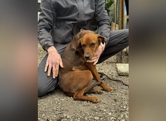 Gavin - wenn Lebensfreude stärker ist als die Vergangenheit