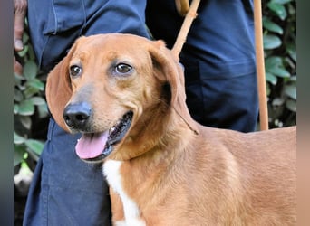 Clotilda - Gemeinsam werden wir sie retten