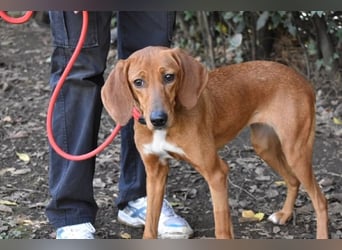 Clotilda - Gemeinsam werden wir sie retten