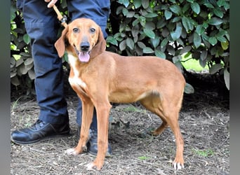 Clotilda - Gemeinsam werden wir sie retten