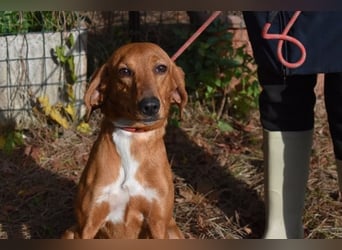 Clotilda - Gemeinsam werden wir sie retten