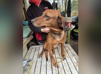 Gavin - Wenn selbst die italienische Polizei eingreift ....