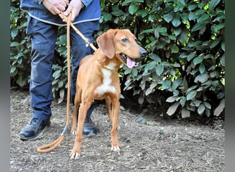 Clotilda - Gemeinsam werden wir sie retten