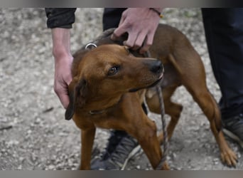 Gavin - wenn Lebensfreude stärker ist als die Vergangenheit