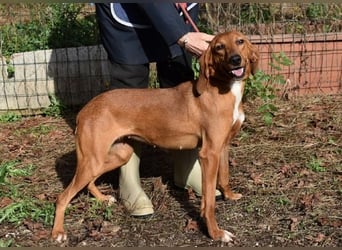 Clotilda - Gemeinsam werden wir sie retten