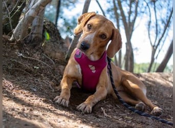 Dabby – eine kleine Kämpferin mit großem Herzen - reserviert