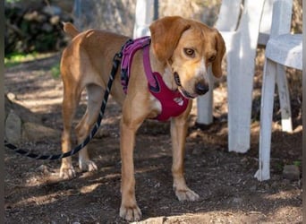 Dabby – eine kleine Kämpferin mit großem Herzen - reserviert