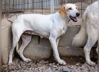 Swarovski- Wenn man kein Vertrauen hat