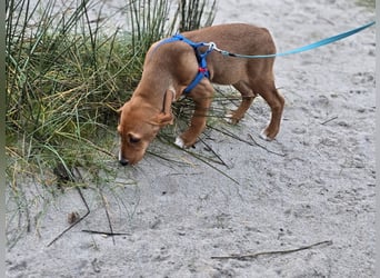Nala Piccola: kleine Zuckerschnute