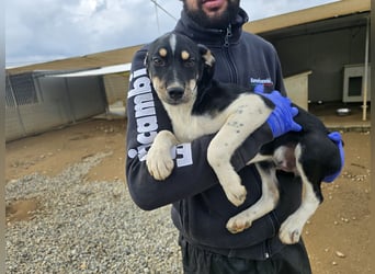 Argo: ein Schatz für die ganze Familie