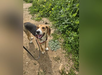 Venere: wird mein Leben bunt und schön?