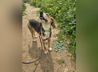 Venere: wird mein Leben bunt und schön?