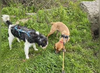 Veneranda: ihr Traum: nie mehr eingesperrt sein