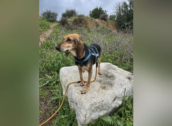 Paoluccia: wird sie noch einmal Geborgenheit spüren?