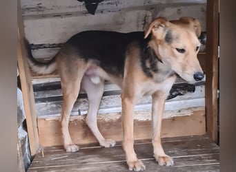 Spenck: wo darf ich hin?